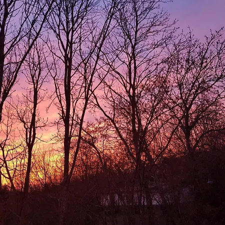 Eifelglueck * Sankt Johann (Mayen-Koblenz, Rhineland-Palatinate)