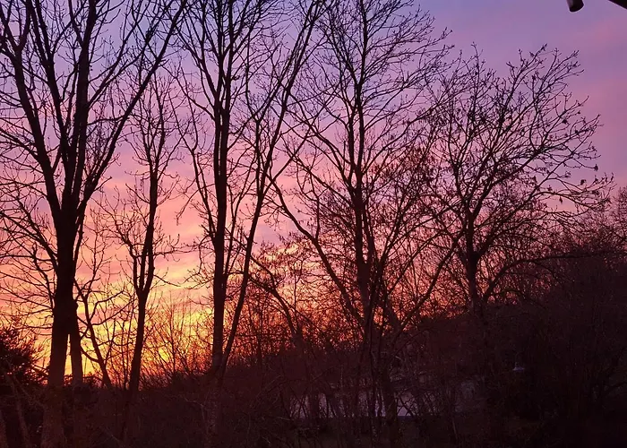 Eifelglück * Sankt Johann (Mayen-Koblenz, Rhineland-Palatinate)